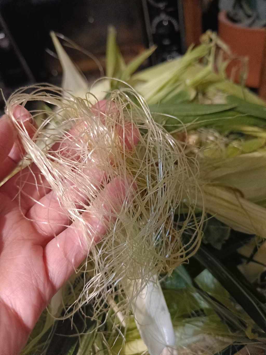 The Amazing Benefits of Corn&nbsp;Silk